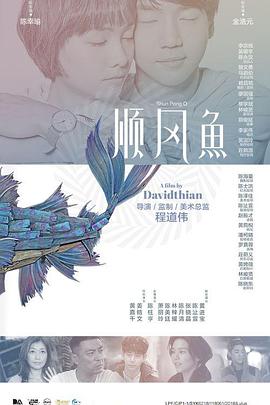 在国模独家综合视频